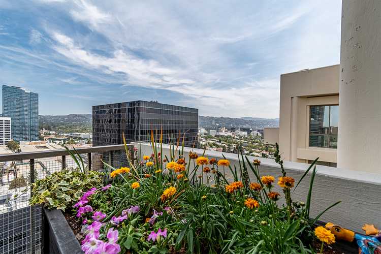 Investing in Century City Commercial Real Estate Christina Insights